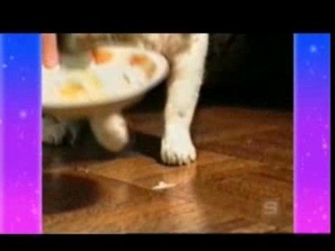 haha tros dr&ocirc;le ses animaux a &eacute;couter!