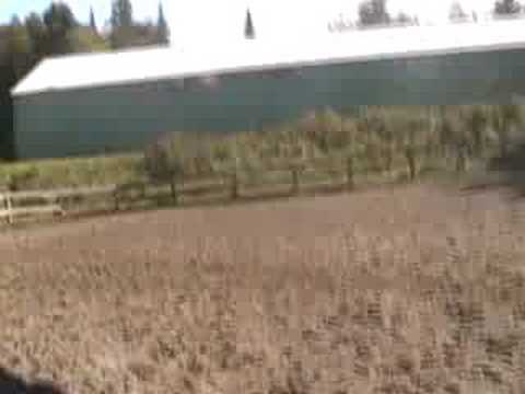 avec balto en cours ! 2p-2p3, parcours sauteur, j'ai sauté les 2 x pi avais presque oublier les planques xD (juger ma...