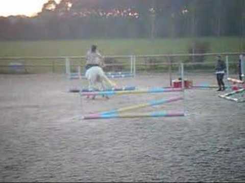 ideolo " the king of the rodeo" !!!