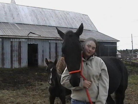 Vidéo que j'ai fait sur l'écurie ou je monte a cheval. ( c mon 2e vidéo donc soyer gentil en me disant mes erreurs)