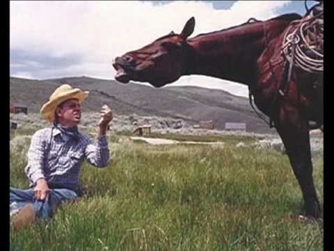 Le standardbred