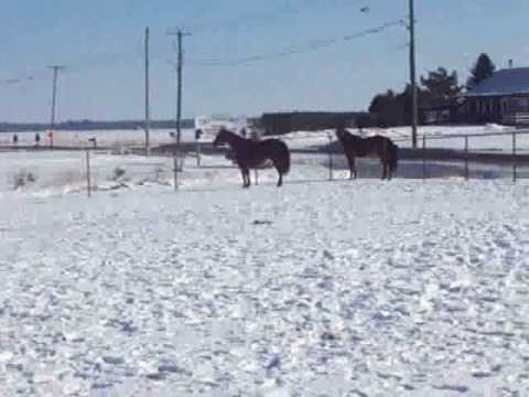 Dic et Gita Hiver 2006