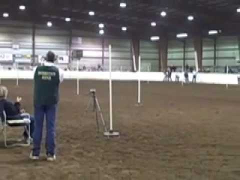 can't touch dis - racing poles