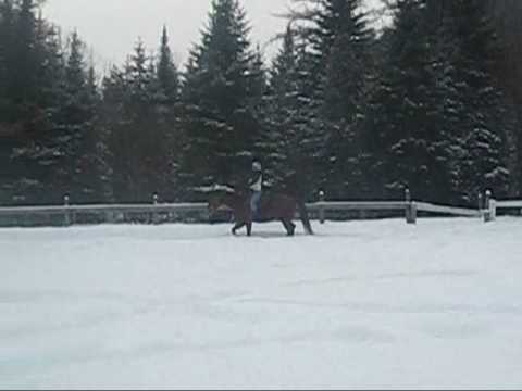 une belle journée d'hiver avec mon cheval Chips