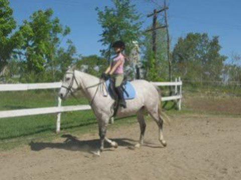 montage que jai fait sur laurence (luna xoxo) et una sa jument! jai eu pomal de musaire a le faire pcq mon odi...