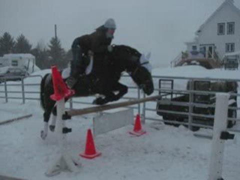 S&eacute;ance d'obstacle avec Cherryl, Sacha et Clydie boy!