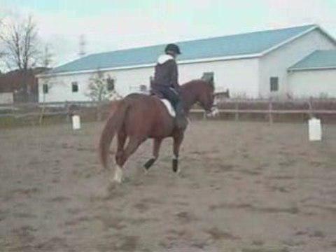 Montage d'entrainement du Rock avec Moi et Cath(Améthyste)