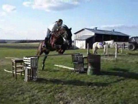 Vieux vid&eacute;os de ce printemps, un saut d'une petit hauteur, soyez indulgent, Moon recommen&ccedil;ais l'entrainement  ;).