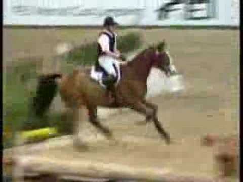 Saut d'obstacles