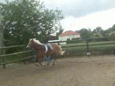 C'est pas de chance ... c'est un peu b&ecirc;te d'avoir lach&eacute; le cheval (il ou elle n'a pas due faire expr&eacute; mais bon ...)