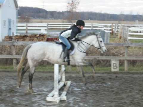 Luna et moi ce printemps, on s'est bien débrouillé pour une première monte:-) Si vous avez des conseils n'hésitez pas.