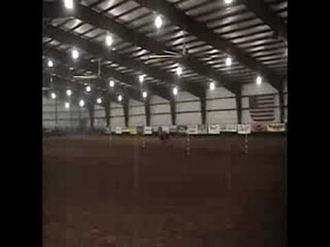 Automatic Pole Horse ..!! COMPLETEMENT DEBILLEE .!!!