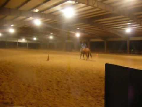 Mon Poulainnn en video ..! Entrainement ... Pour un Cheval de 2 ans et demi Declarer quasi Aveugles , et avec les...