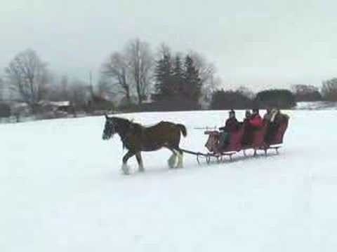 Clydesdale Sleigh Ride