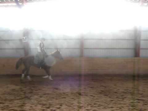 suite de mon cours de dressage avec Sugar Pop