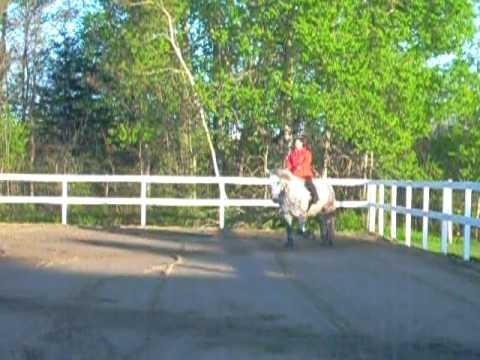 Ce soir c'était la première fois que je pratiquais la figure du 8 au trot et au galop en passant par le milieu.