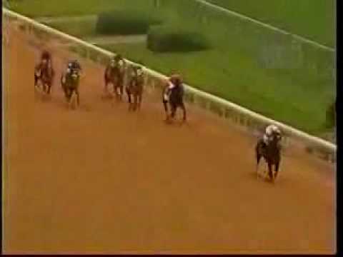 Rachel Alexandra : la seule pouliche à remporter le Preakness depuis 1924 contre 12 poulains. Elle est tout simplement...