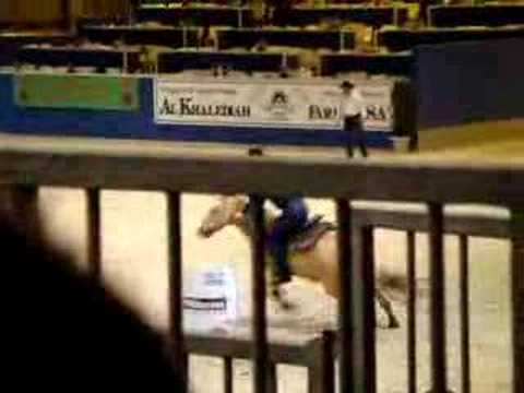 Championnat de France Salon du Cheval Paris 20