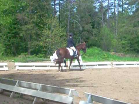 Moi et ma jument au concours de dressage pas et trot, reprise A.