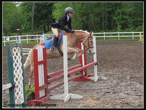 Montage du concours au ranch Massawippi - 31 mai 2009