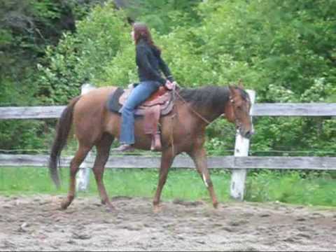Ma soeur avec son cheval
