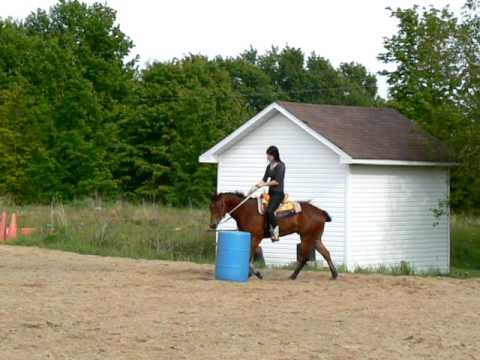 Moi et mon poulain JM Coco Dash ( 3 ans ). Début dans les barils tranquillement..