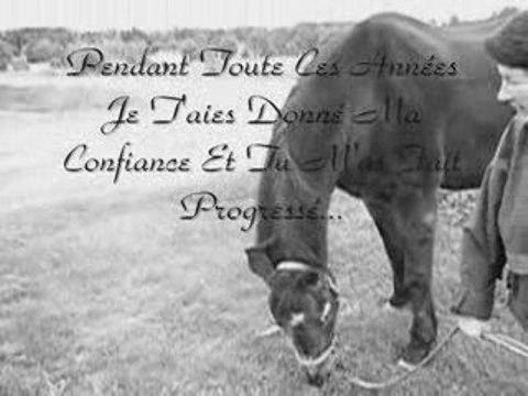 - Leander , Le cheval qui m'as tant appris ! -