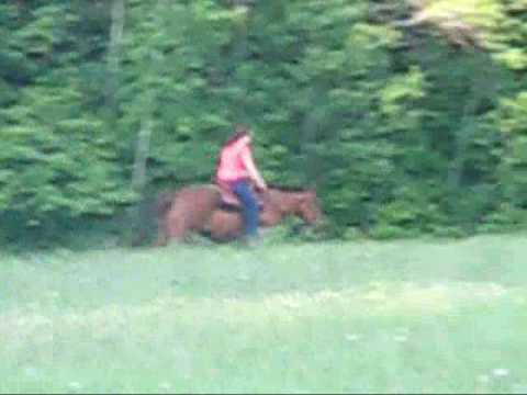 Ma soeur avec Chips en randonn&eacute;e
