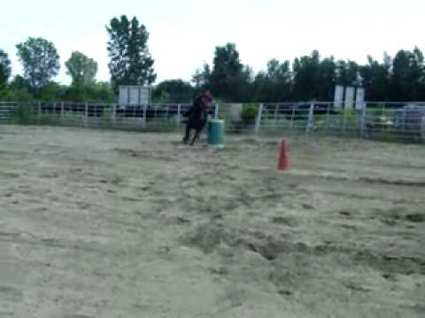Poulain 2 Ans Et Demi, Qu'en Pensez-vous? :)