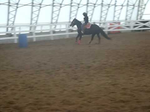 Pratique de Camille R. avec Rosie