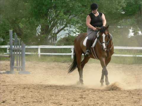 Montage vidéos de moi et mon cheval, juin 2009. Désolée il y a pas de son