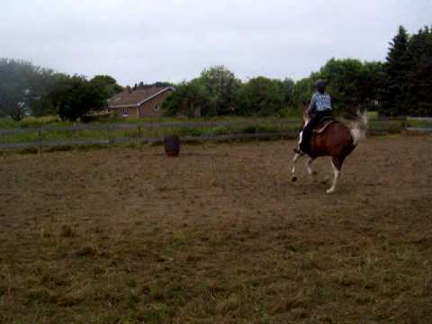 moi et beauty a l'entrainement pas rapid mais les barils sont beau