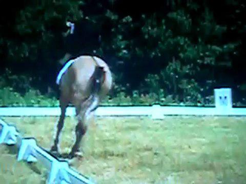 Que de bons souvenirs avec mon 1er cheval!  Le pire, c'est qu'après ça j'étais contente, parce que j'avais FINI ma...