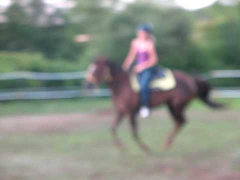 Première run de baril au galop de ma jument... et ma première run au galop aussi... Pas mal pour une ancienne jument de...