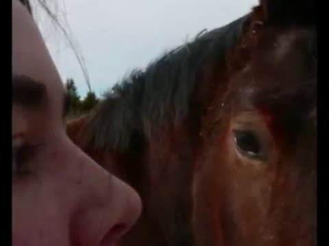 Mon cheval et moi dêpuis que je l'ai!