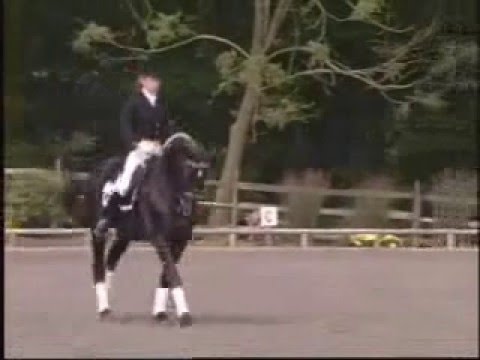L'&eacute;quitation que c'est un beau sport ...on ne r&eacute;alise par toujours la chance que nous avons de monter &agrave; cheval