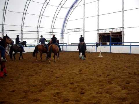 Petite "game" amicale de horseball!