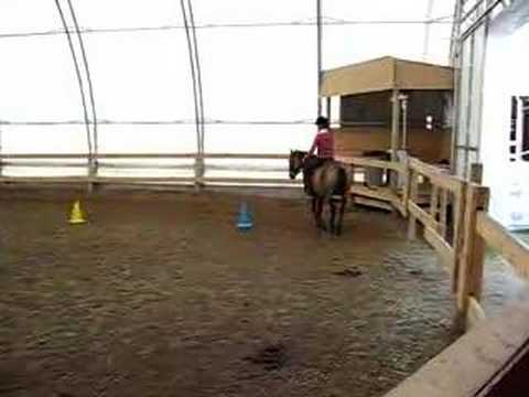 Ma premiere monte &agrave; cheval.. C'&eacute;tait trop malade! Lah je fais en peu de trot, mais javais commenc&eacute; par le pas bien...