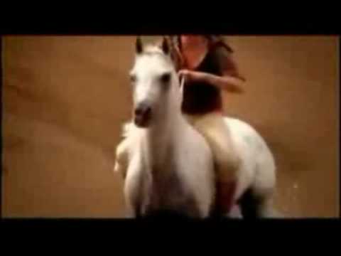 Le dressage de ce video c'est beau!!