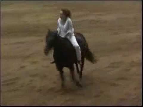 WOW Cte fille la a fait des miracles et son cheval est trop beau ! Vous trouvez pas que ces fou ce quelle acomplit !