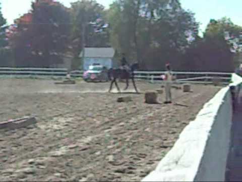 Qu'es-Pensez-vOus pour une premi&egrave;re comp&eacute;tition de Dressage pour cavali&egrave;re et Cheval ? C'Est Moi et Jersey Symphonie...