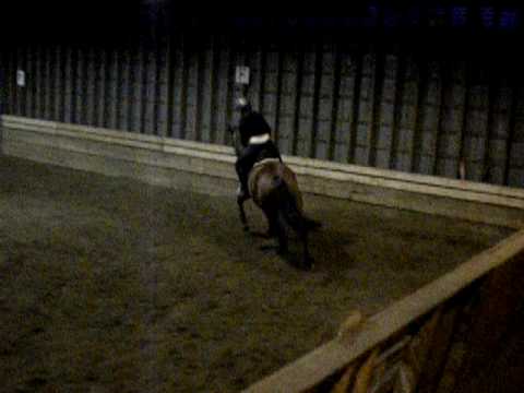 Moi & Quidam :)