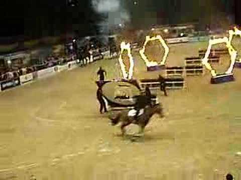 Je sais que le vidéo est court mais j,aime bien la fin !!