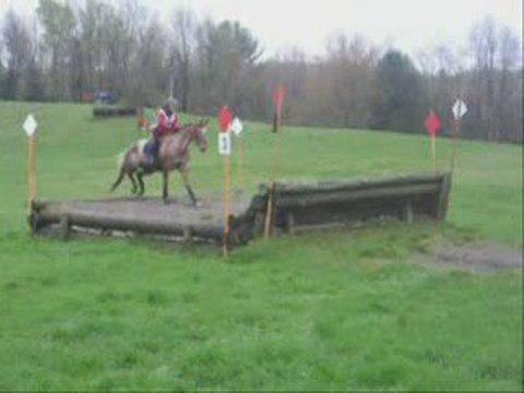 Ma saison 2009, concours complet niveau training... il faut écouter avec la musique!!!