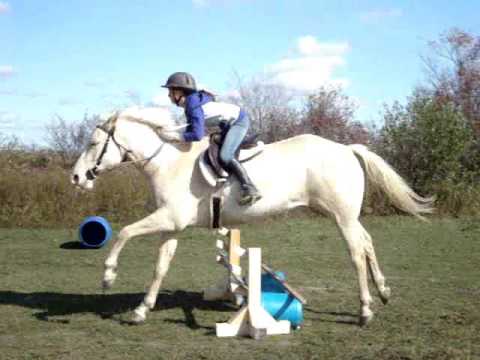 moi et ma jument today ! \ p'tit montage :-) je suis fière de son amilioration :-D\ laissez vos com'z