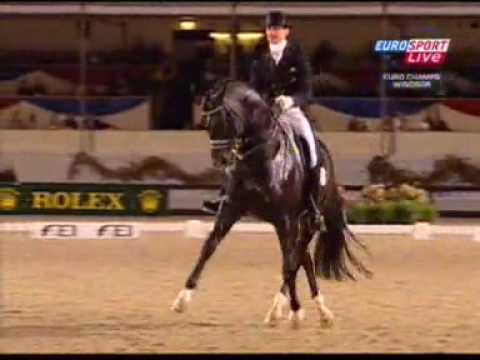 Moorlands....pour amateur de dressage, rincez vous l'oeil...