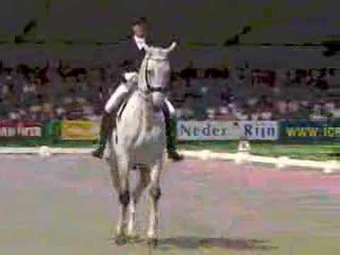 Dressage !!!