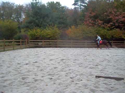 Parcours 5 sauts ==> commentez