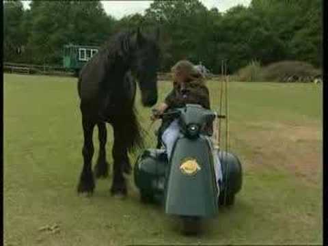 femme paraliser eduque son cheval