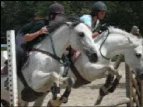 2 filles et leurs poneys blancs